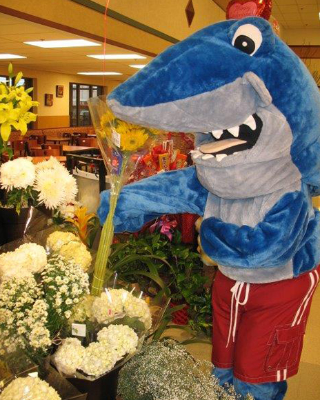 Shark Mascot Flower shopping