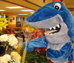 Shark Mascot shopping for flowers