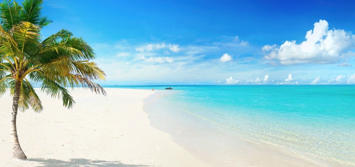 Beach with palm trees